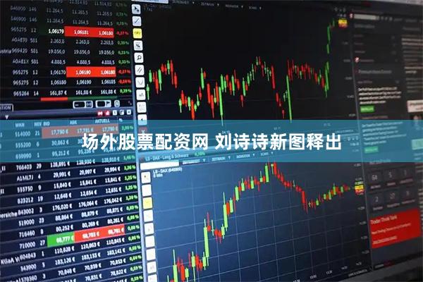 场外股票配资网 刘诗诗新图释出