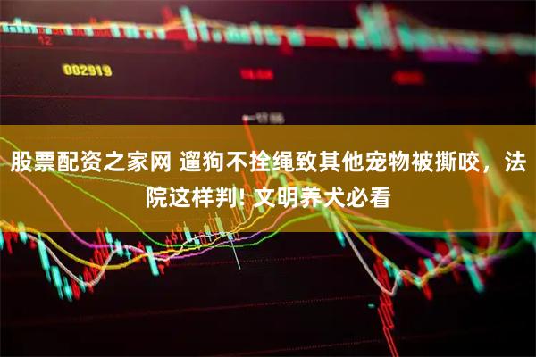股票配资之家网 遛狗不拴绳致其他宠物被撕咬，法院这样判! 文明养犬必看