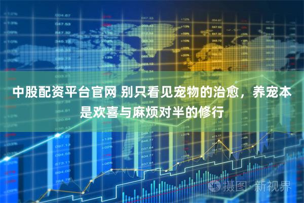 中股配资平台官网 别只看见宠物的治愈，养宠本是欢喜与麻烦对半的修行